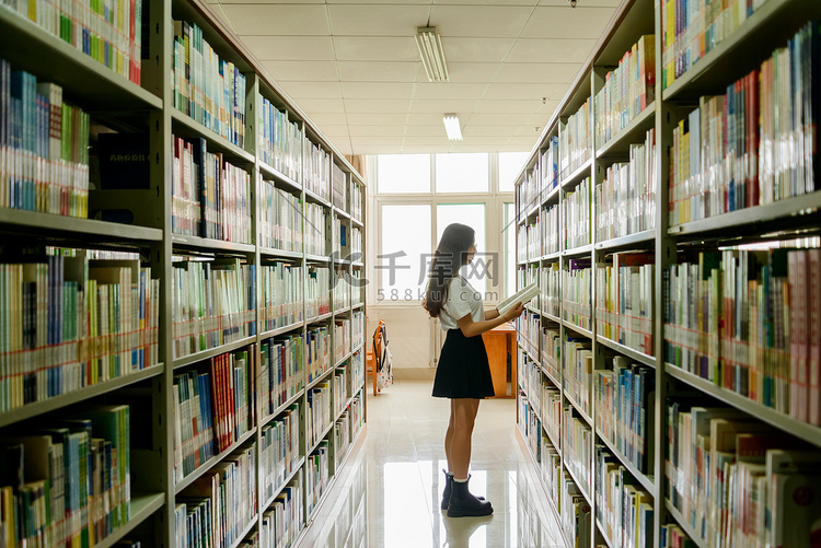 人像白天女孩子书架前看书摄影图