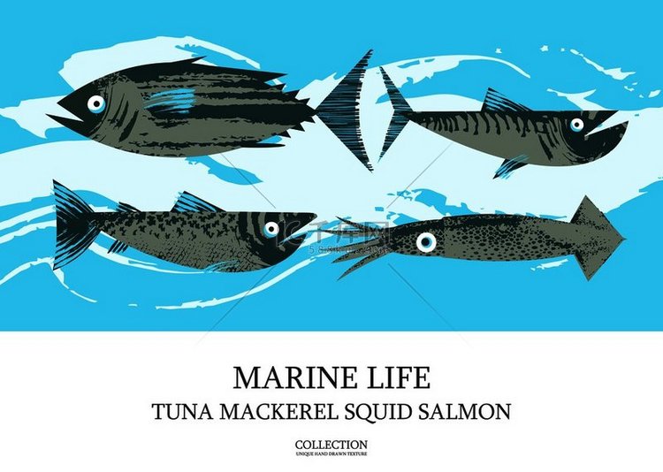 海鲜鱼彩色矢量插图不同鱼类的图