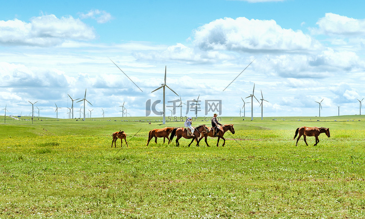 草原风景上午马夏季素材摄影图配