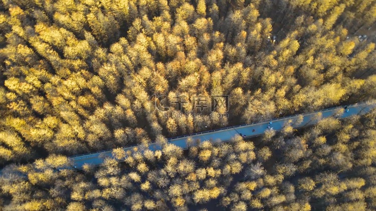 航拍壮观杭州青山湖丛林风景全貌