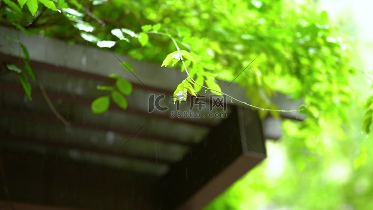 唯美春天春日下雨雨天意境