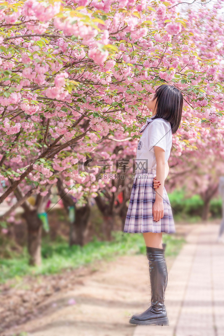 樱花人像春天早上少女户外赏花摄