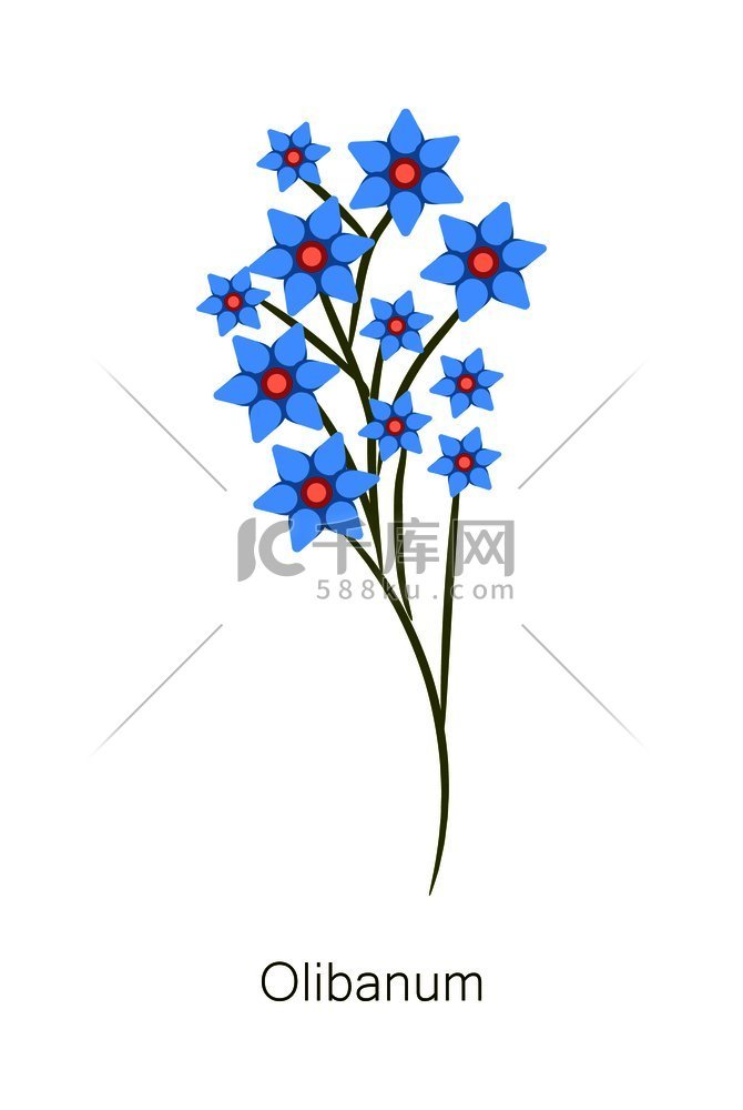草本植物海报标题蓝色花朵横幅和