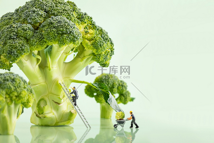 有机营养蔬菜西兰花创意摄影图配