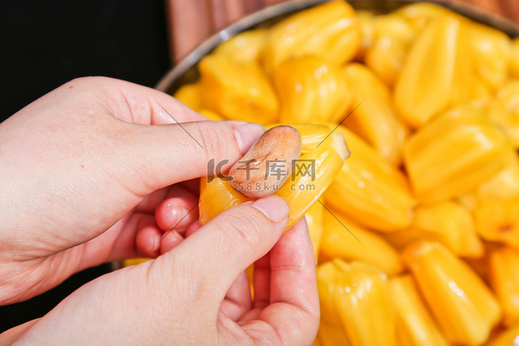 双手剥开熟透的菠萝蜜核水果实物