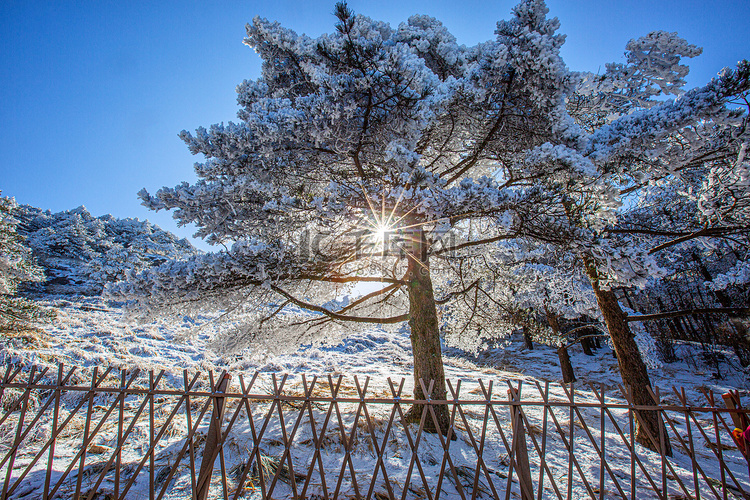 冬天太阳篱笆和白雪摄影图