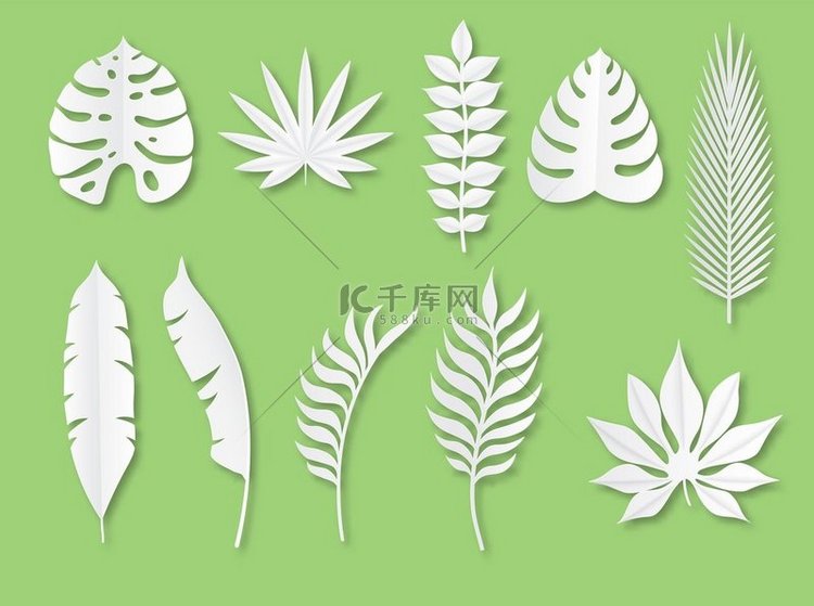 热带树叶折纸时尚风格的异国植物