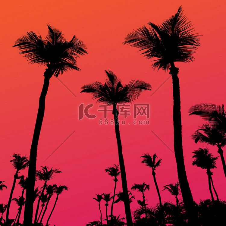 棕榈树夕阳剪影
