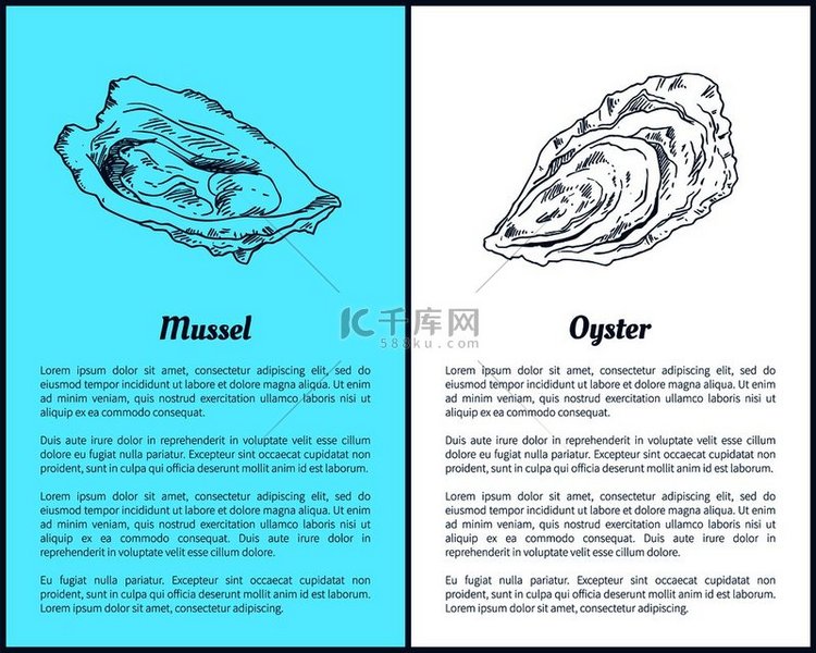 贻贝和牡蛎矢量双色图形手绘海鲜