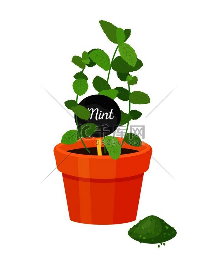 薄荷植物和标签带有名称绿色的叶