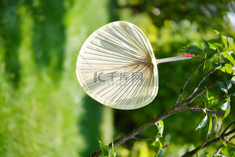 夏季纳凉白天蒲扇绿茵草地扇扇子