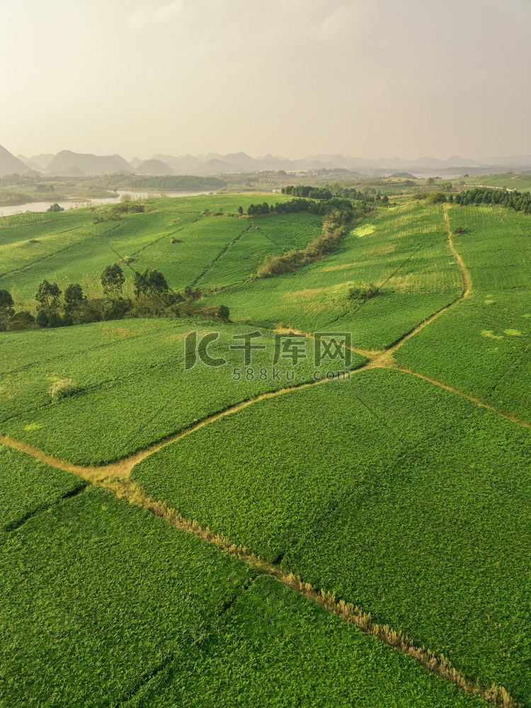 茶山下午茶茶山摄影摄影图配图