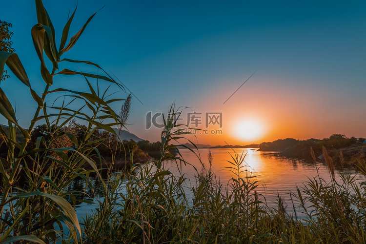 千岛湖晚霞芦苇摄影图