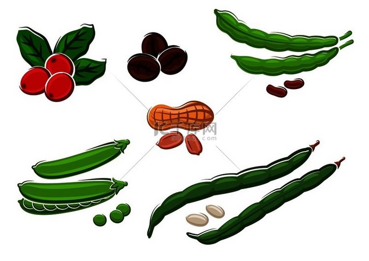 各种新鲜豆类，包括豌豆、菜豆和