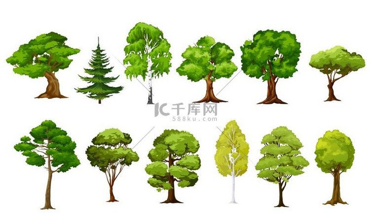 卡通隔离矢量树森林和花园里的绿
