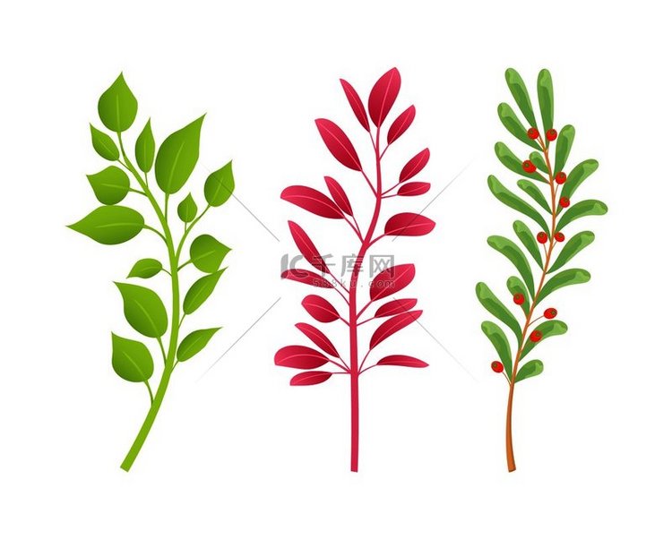有绿色和红色叶子的天然植物的分