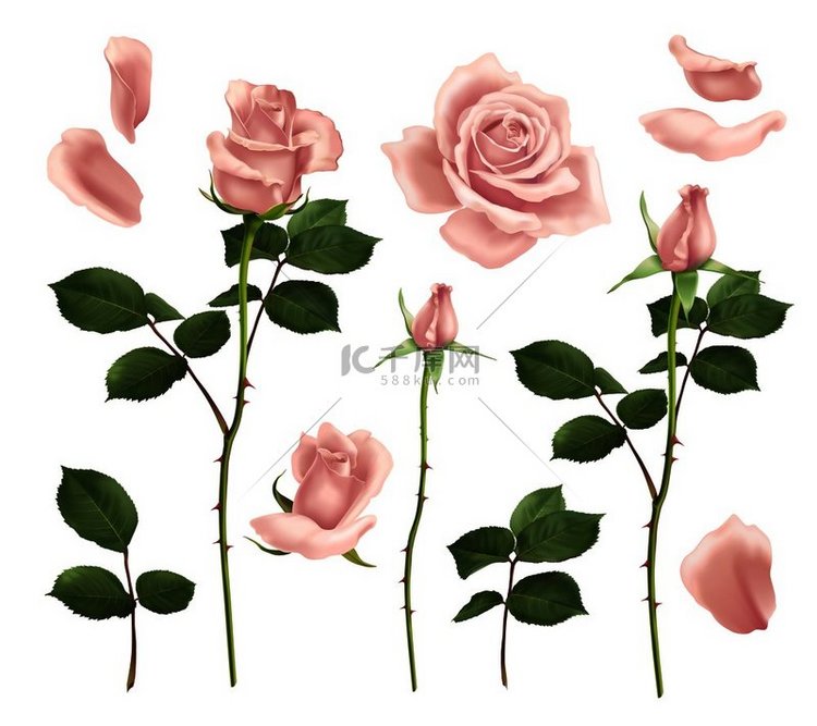 美丽逼真的粉红色玫瑰花瓣和花蕾