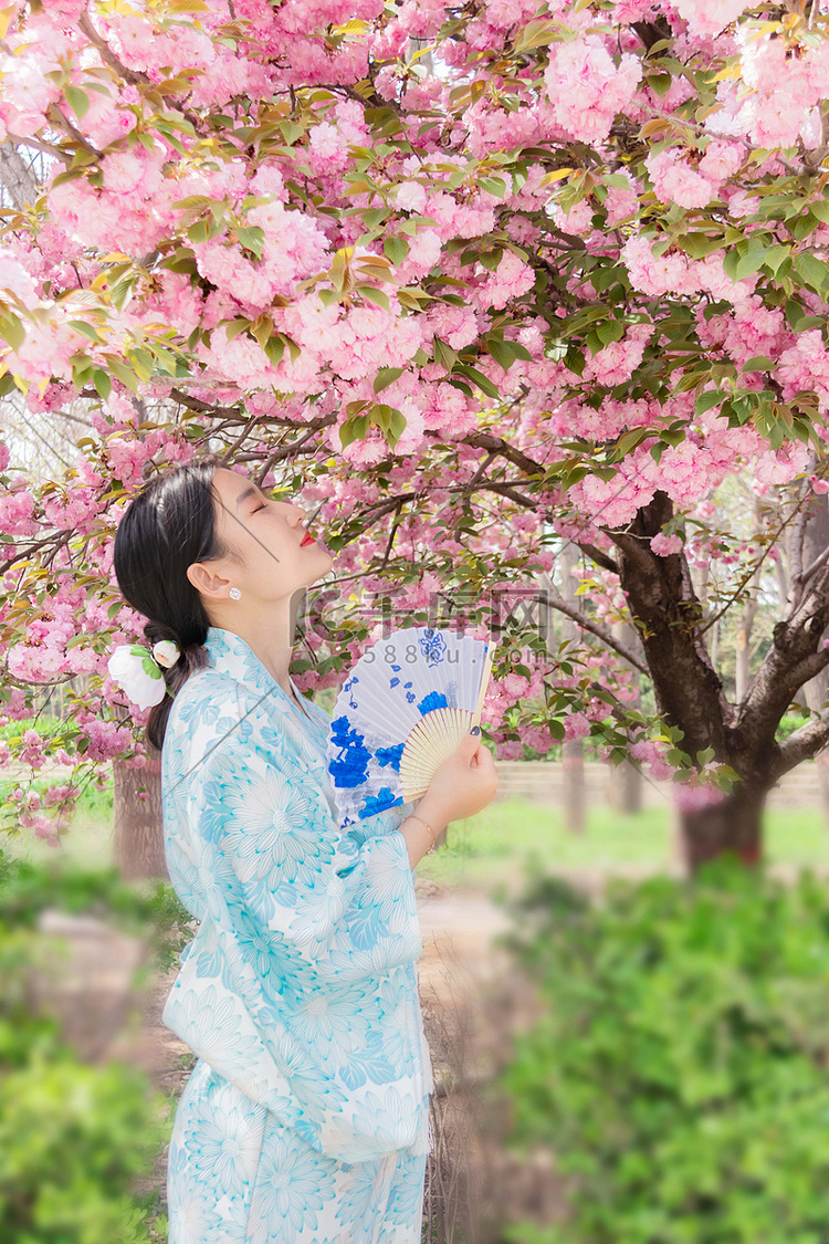 樱花少女白天美女春季户外赏花摄