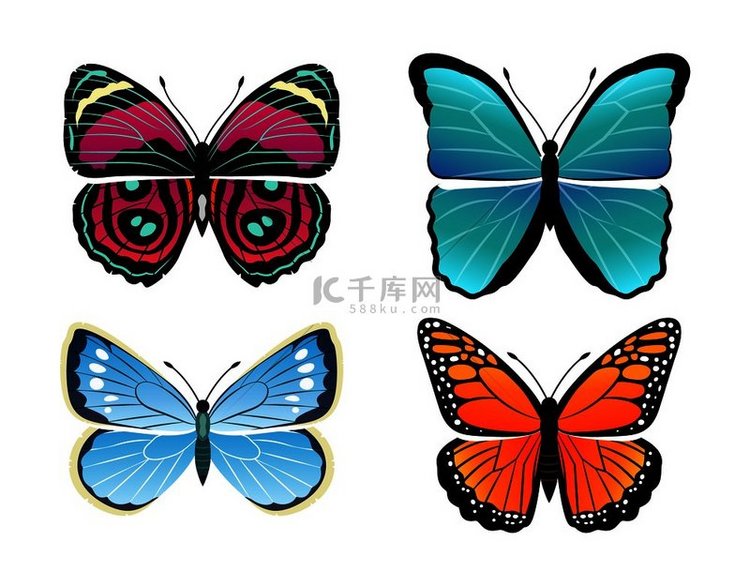 蝴蝶收藏类型 morpho p