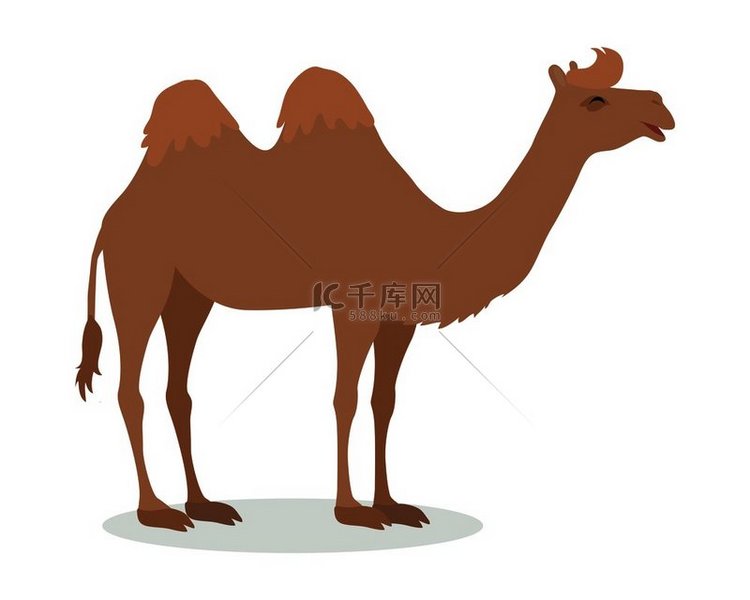 双峰驼卡通人物有趣的骆驼有两个