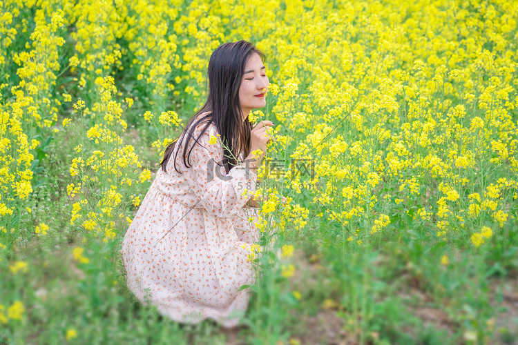 油菜花白天美少女人物户外看花摄