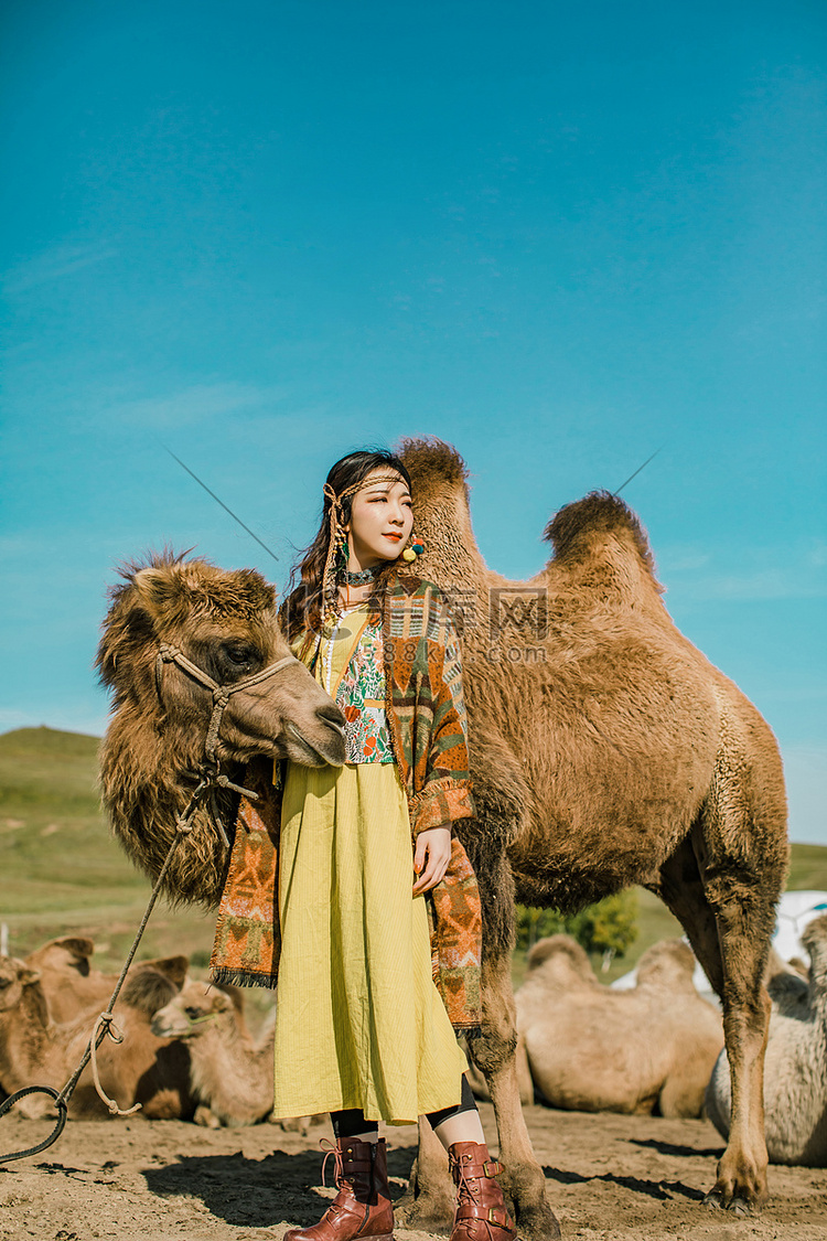 内蒙古草原上和骆驼合影的姑娘摄