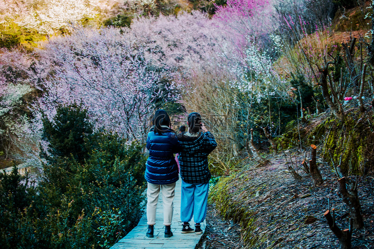 踏春赏花两个人户外拍照摄影图配