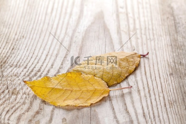 秋天的落叶。木质背景下美丽的秋