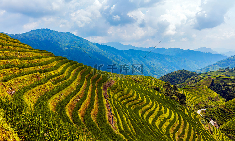 Longsheng (Longji)稻田，中国