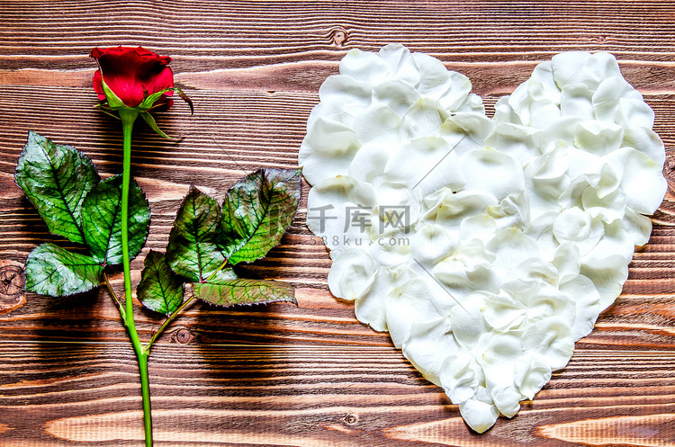 红玫瑰和心脏由白色玫瑰色花瓣在