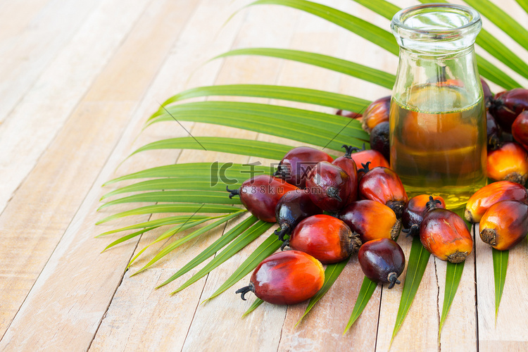 商业棕榈油种植。因为棕榈油包含