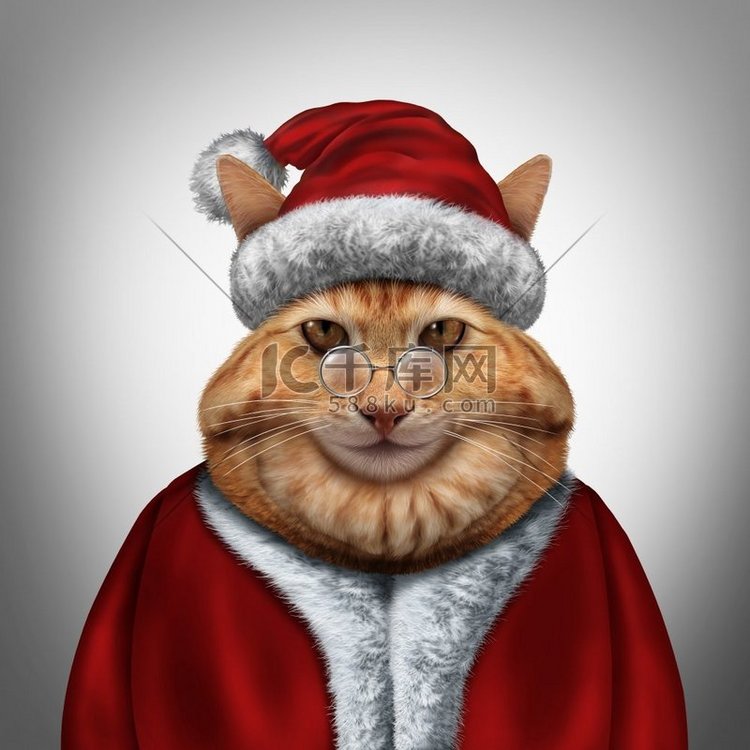 圣诞猫穿着红色的圣诞老人圣诞服
