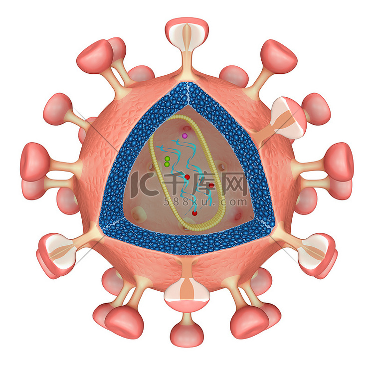 Hiv 病毒细胞