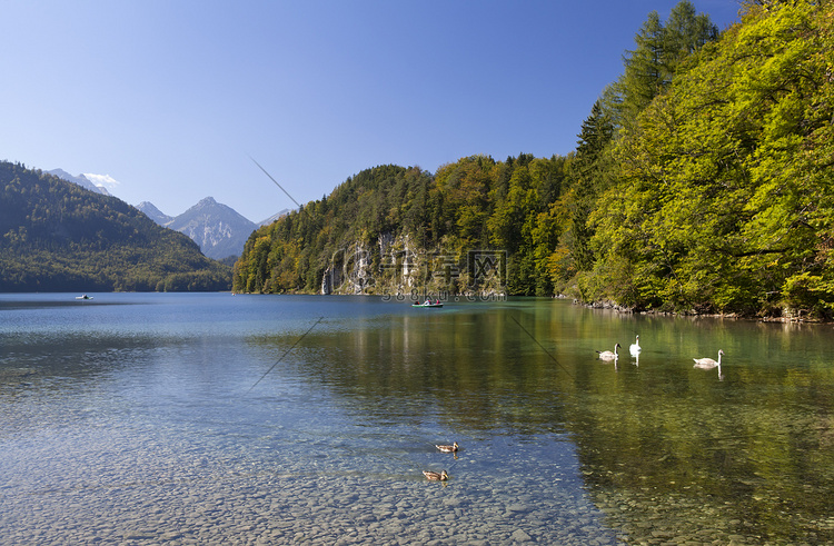 alpsee 在巴伐利亚阿尔卑