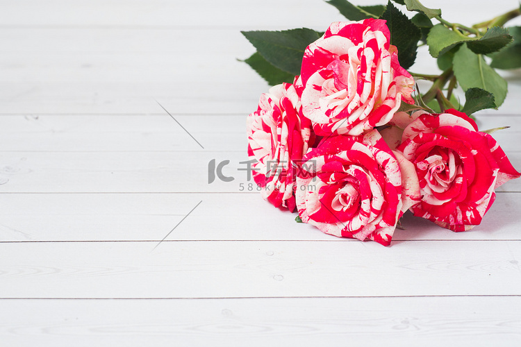 红玫瑰白木底、 副本空间.