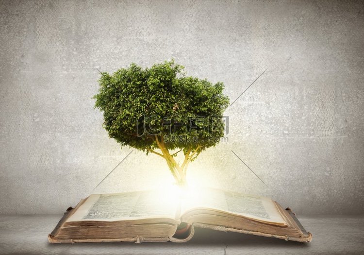 从书中长出绿树的概念形象。阅读