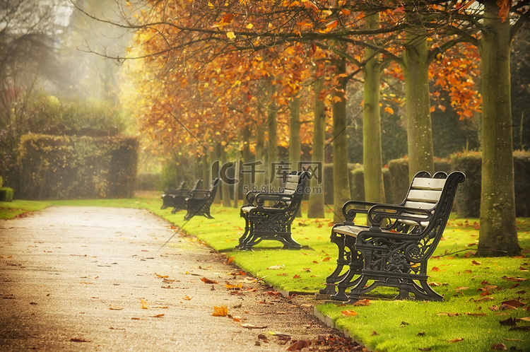 在秋天的公园长椅