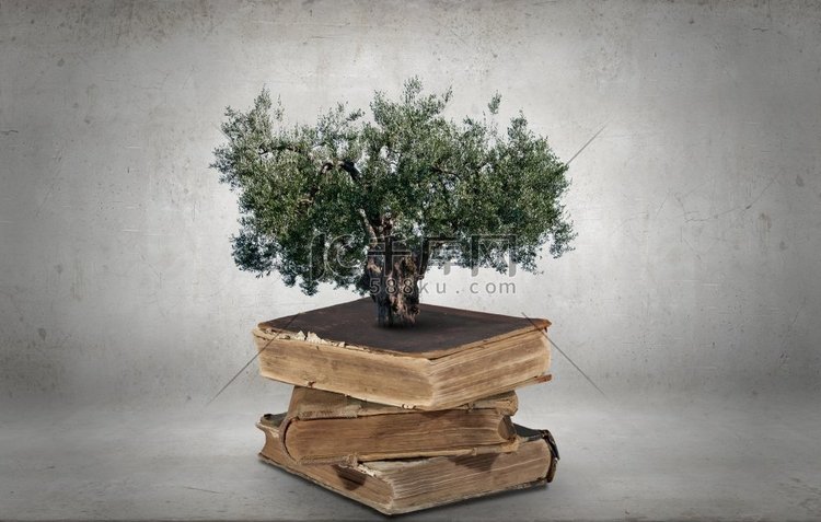 从书中长出绿树的概念形象。阅读