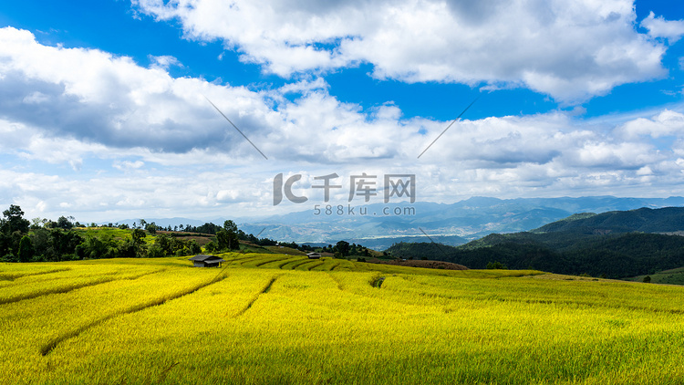 在泰国北部，Pa pong 小屋，蒋梯田