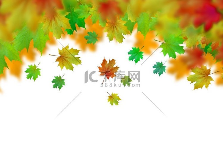 秋天的树叶。带有秋叶的背景概念
