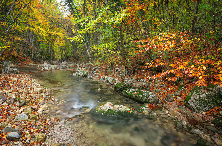 美丽的秋天风景山区河流与多彩树