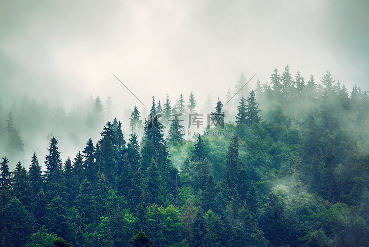 多雾的山景