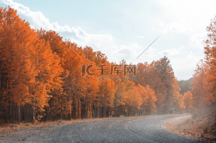 五颜六色的秋天场景在农村道路在