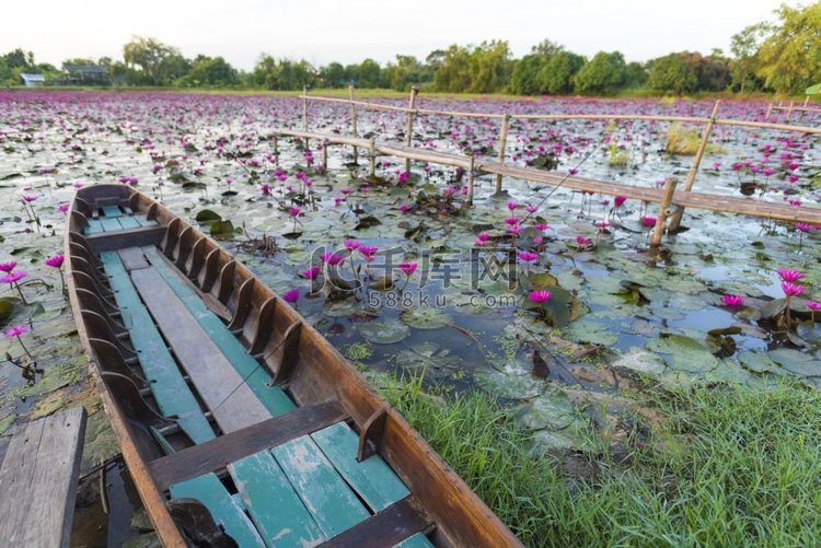 荷花湖