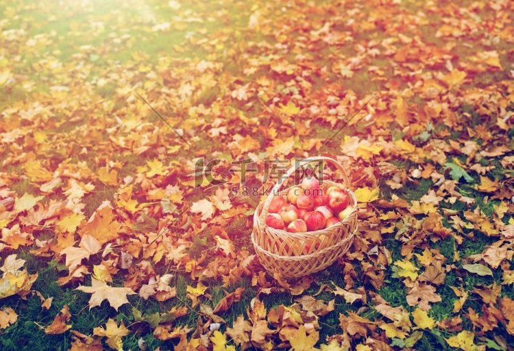 水果、秋天、收获、篮子