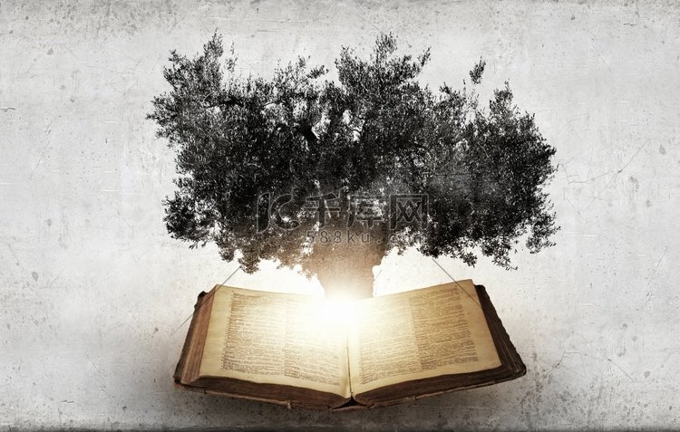 概念图像与绿树从书中生长。阅读