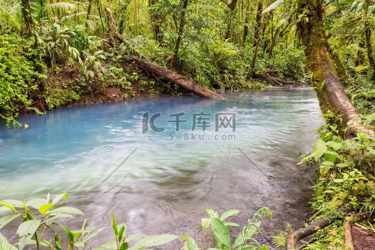 热带雨林里流淌着美丽的溪水。哥