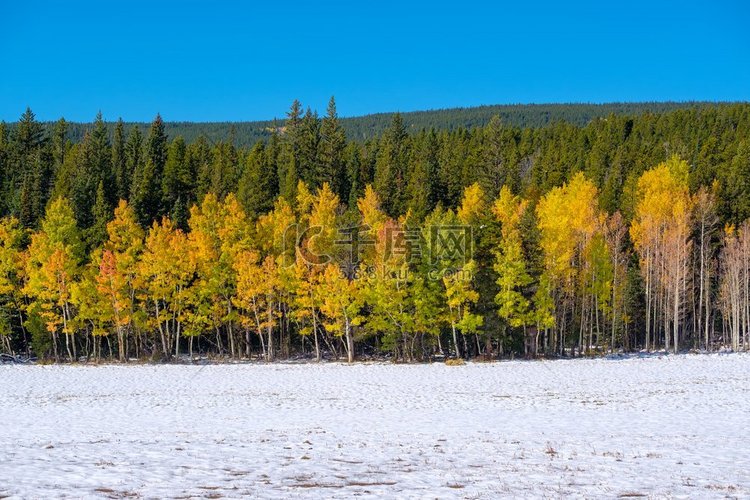 季节变换，美国科罗拉多州初雪和