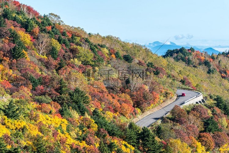 秋天秋天树叶山在日本福岛东北部
