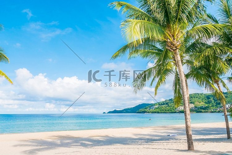 美丽的热带海滩和大海的椰子树